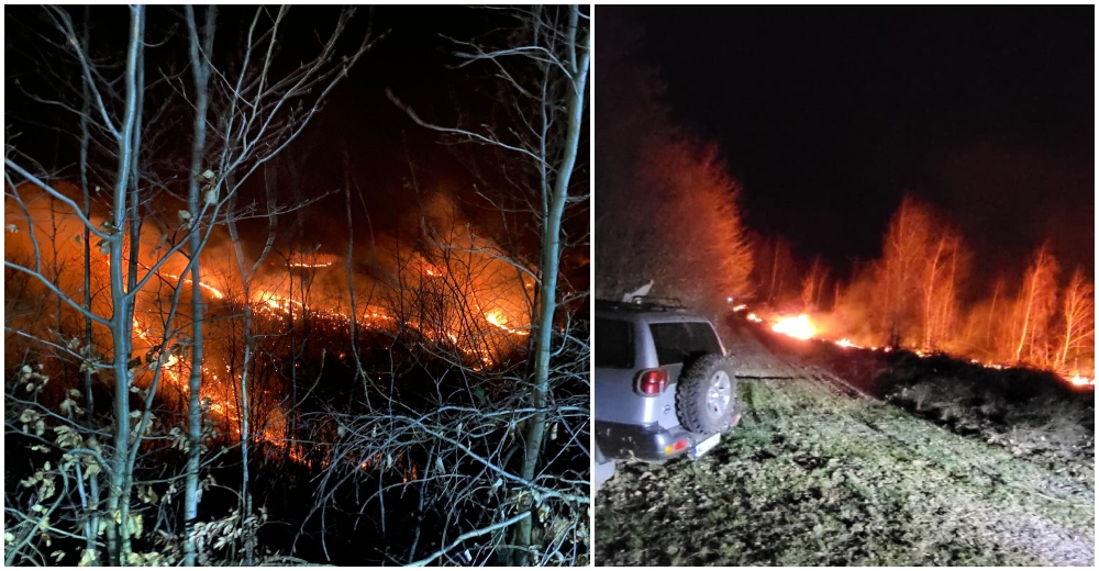 FOTO/VIDEO. Incendiu uriaș în județul Satu Mare. Pompierii luptă de 7 ore să îl stingă