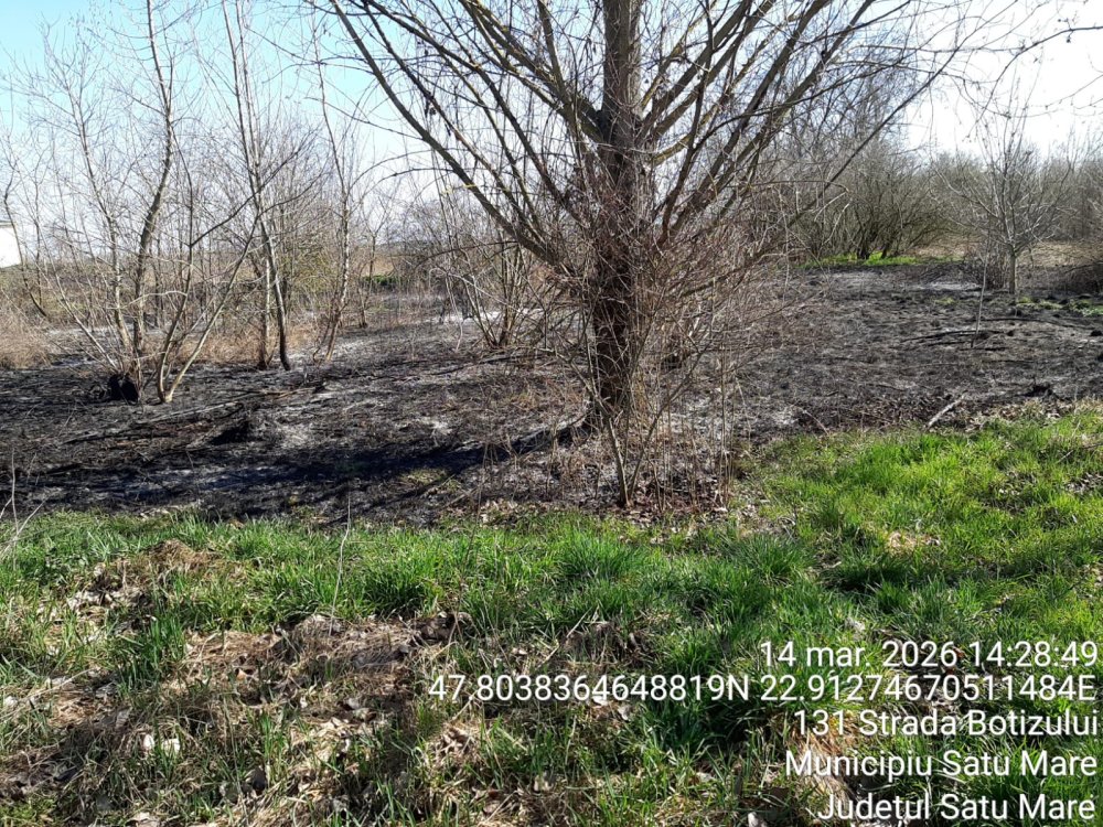 FOTO/VIDEO. Cinci incendii de vegetație, într-o singură zi, în județul Satu Mare. Pompierii acționează la foc continuu
