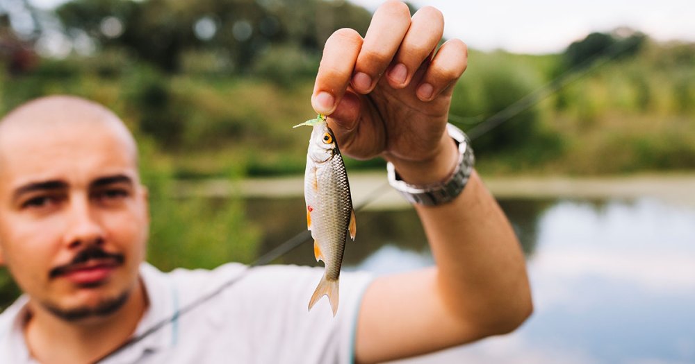 Cât de poluate sunt râurile din orașele noastre. Particule de plastic în toți peștii prelevați dintr-un râu din județul vecin