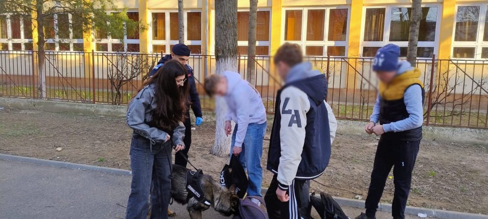 FOTO. Verificări ale polițiștilor la o școală din municipiul Satu Mare. Oamenii legii, ajutați de câinele antidrog