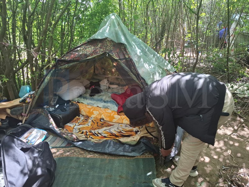 curățenie pe malul someșului2.jpg