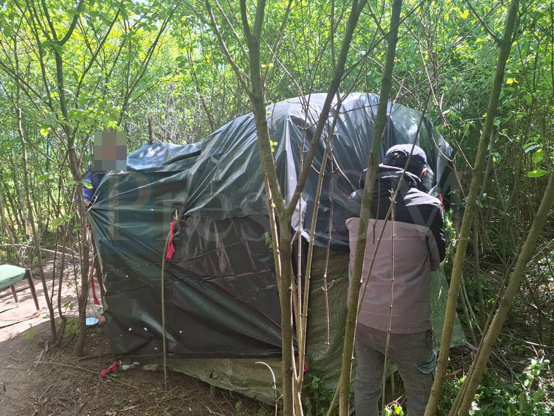 curățenie pe malul someșului4.jpg