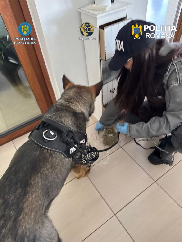 droguri diicot (4).jpg