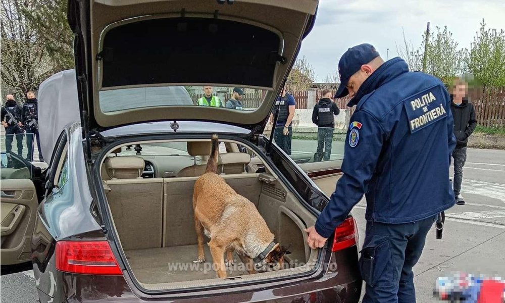 FOTO/VIDEO. Mobilizare la granița cu Ungaria, în județul Satu Mare. Polițiști, jandarmi și câini de urmă