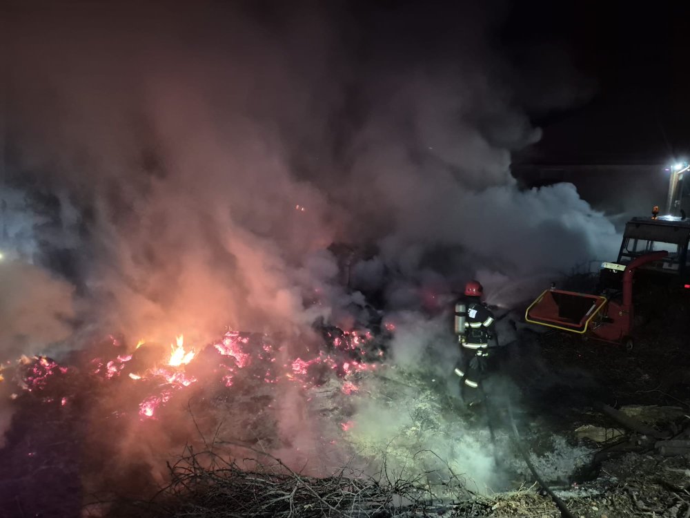 FOTO. Incendiu la o firmă din Satu Mare. Flăcările amenințau și hala învecinată. De la ce a pornit totul