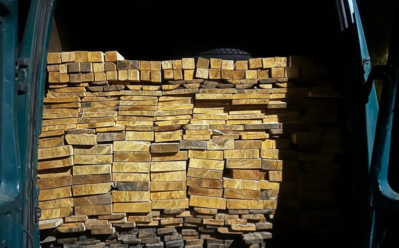 lemne transport ilegal.jpg