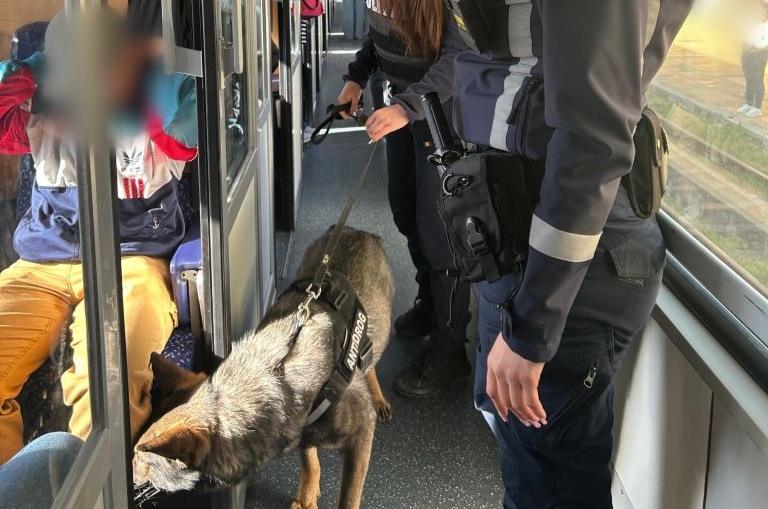 politia caine tren (1).jpeg