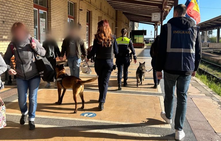 politia caine tren (2).jpeg