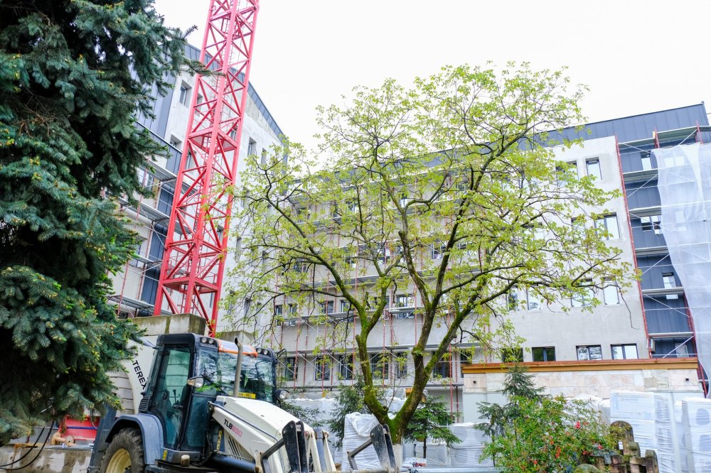 spital negrești-oaș3.jpg