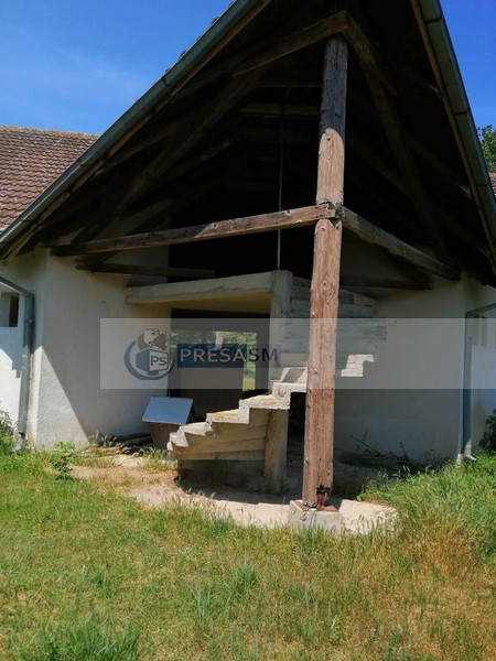 strand beltiug (10).jpg