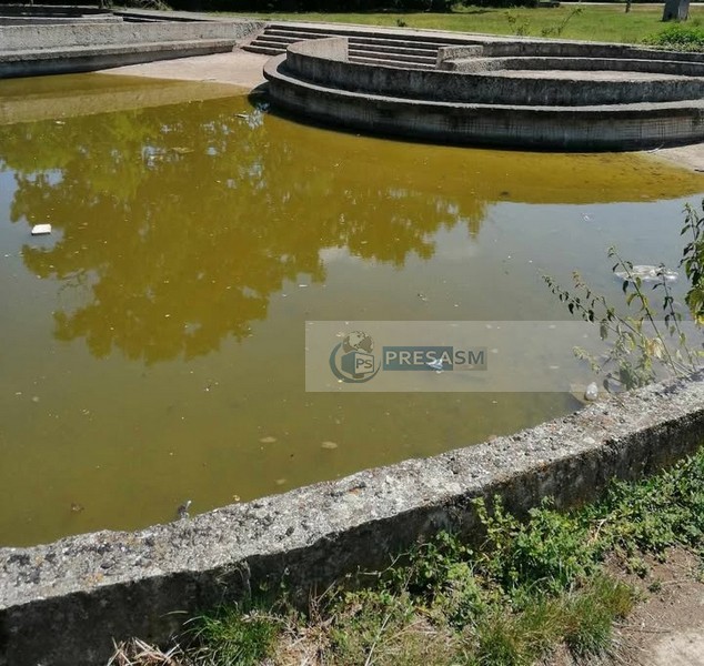 strand beltiug (12).jpg