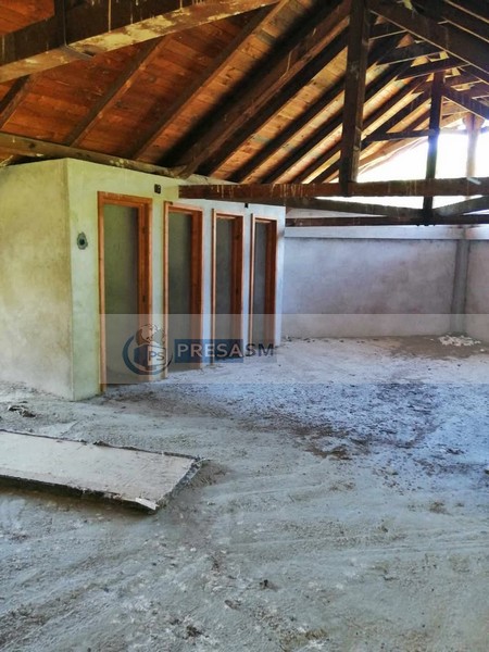 strand beltiug (2).jpg