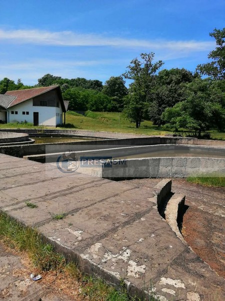 strand beltiug (6).jpg