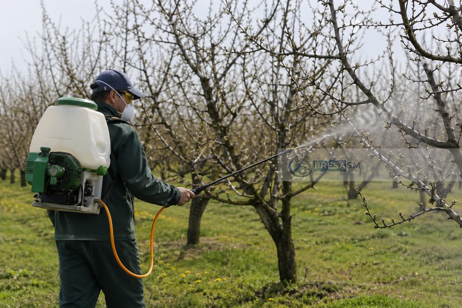 Cum alegi corect fungicide pentru pomi fructiferi și cereale: ghid informativ
