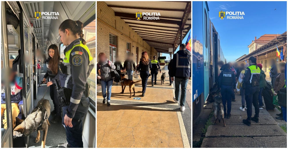 FOTO. Poliția a verificat toate trenurile, în Gara din Satu Mare. Inclusiv cu câinii de urmă