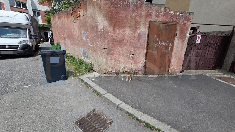 FOTO/VIDEO. Noi mărturii dramatice în cazul crimei de pe stradă din municipiul Satu Mare
