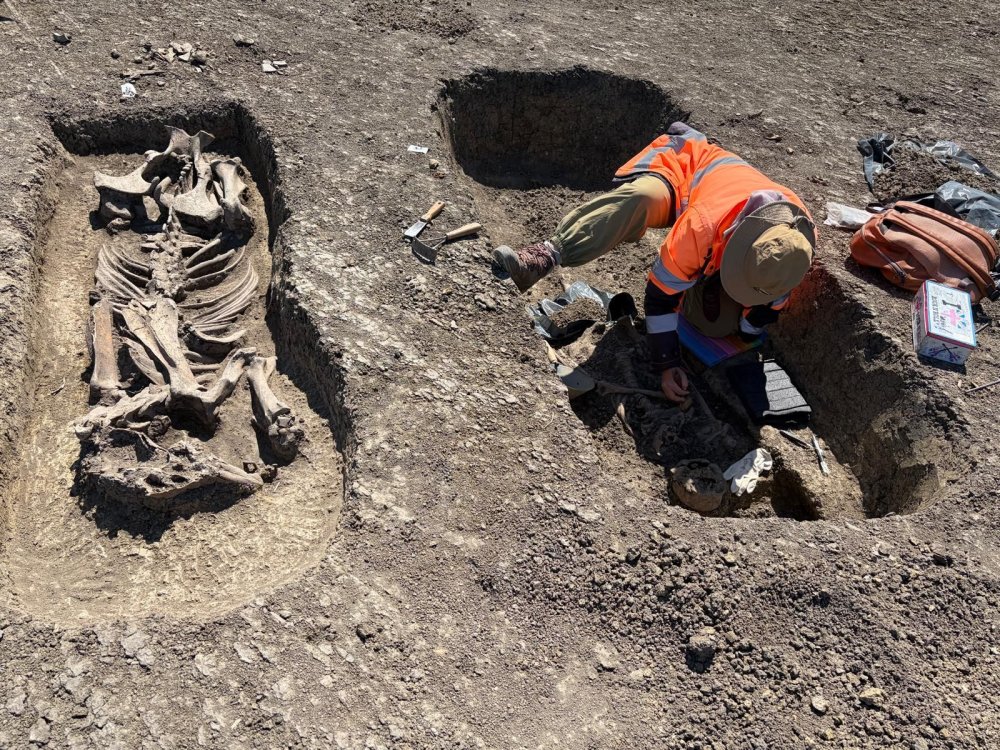 FOTOGALERIE. Șantierul care ascundea o comoară. Specialiștii muzeului din Satu Mare au descoperit un complex funerar