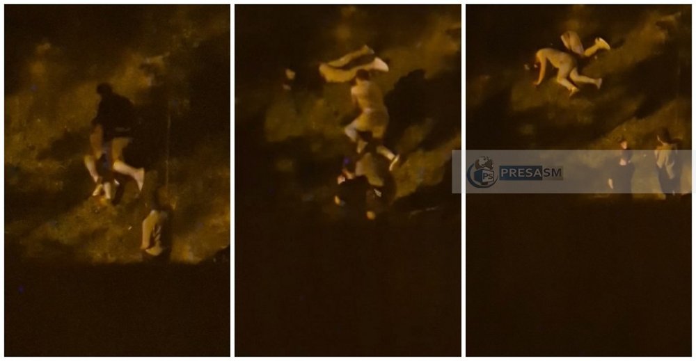 VIDEO. Au fost identificați golanii din Micro 16. Au făcut scandal în toiul nopții și au distrus arbori pe un bulevard din Satu Mare