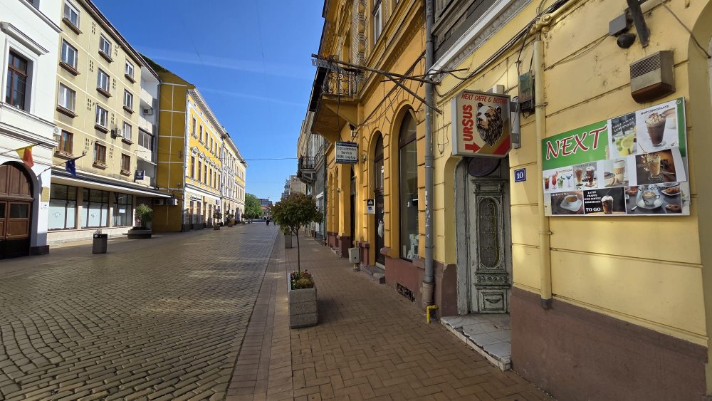 royal bites satu mare (1).jpeg