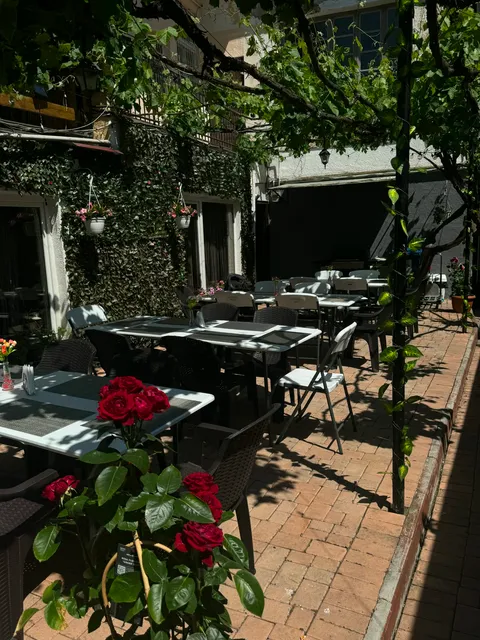 royal bites satu mare (5).webp