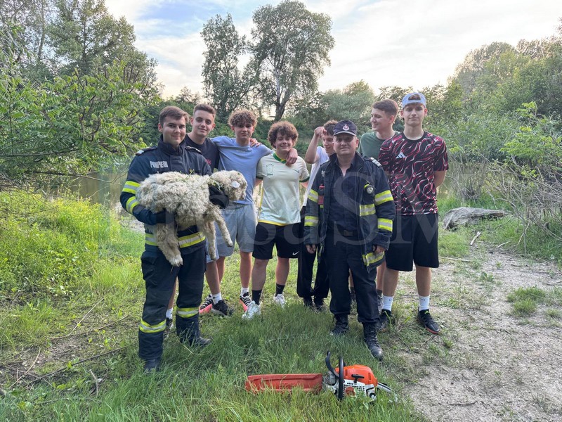 FOTO. Șase copii din Satu Mare au dat astăzi o lecție de omenie: au mobilizat salvatorii pentru a salva un animal rănit din Someș