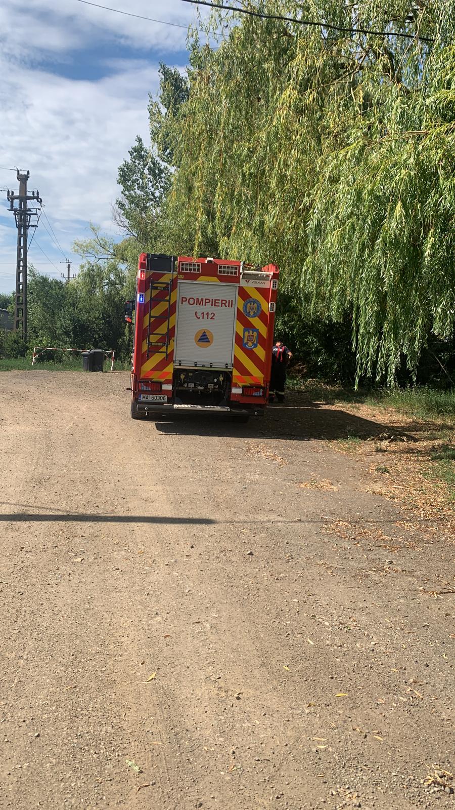 incendiu carei1.jpg