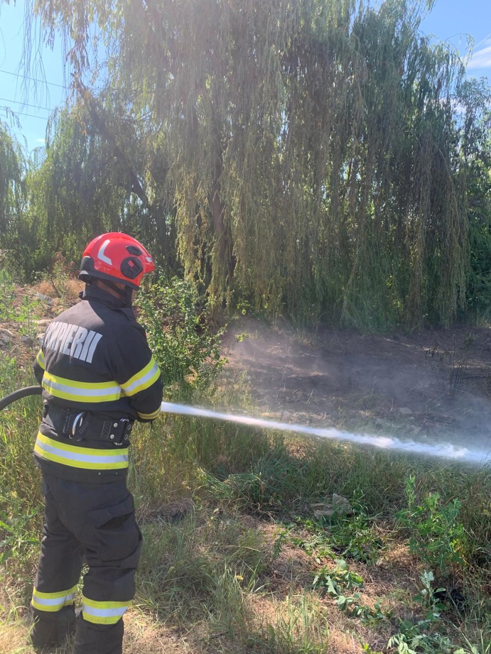 incendiu carei.jpg