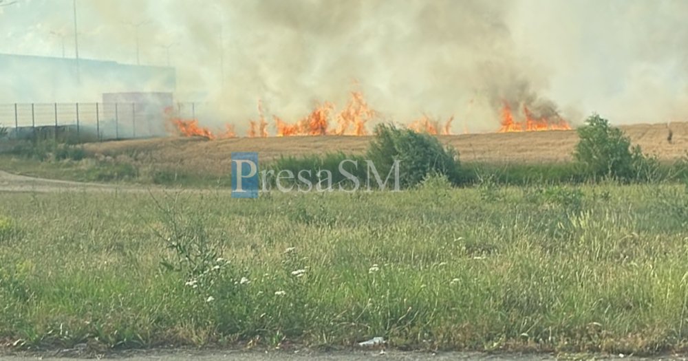 Incendiu zona Auchan Satu Mare2.jpg
