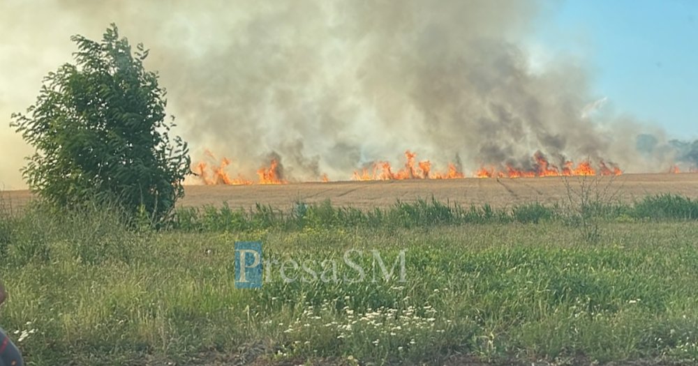 FOTO/VIDEO. Incendiu uriaș de vegetație în spatele hypermarketului Auchan din Satu Mare. Flăcările amenință complexul comercial