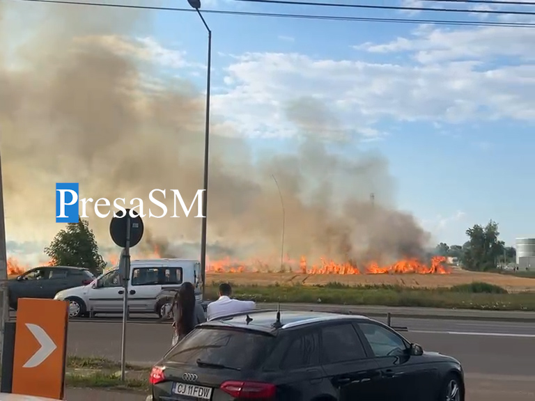 FOTO/VIDEO. Incendiu uriaș de vegetație între Auchan și Dedeman din Satu Mare. Flăcările amenință complexul comercial