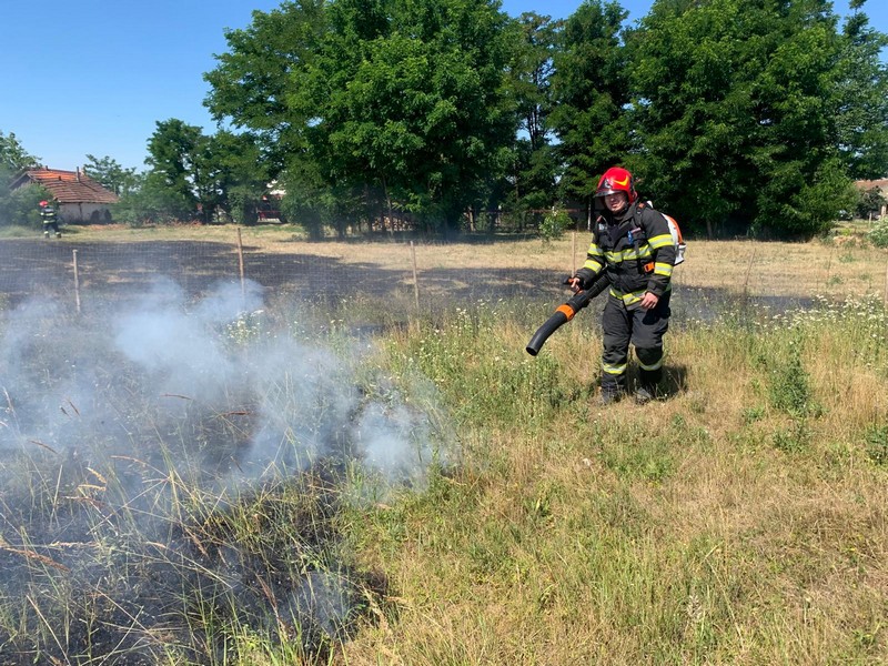 FOTO. Incendiu de vegetație în județul Satu Mare. Mai multe case în pericol