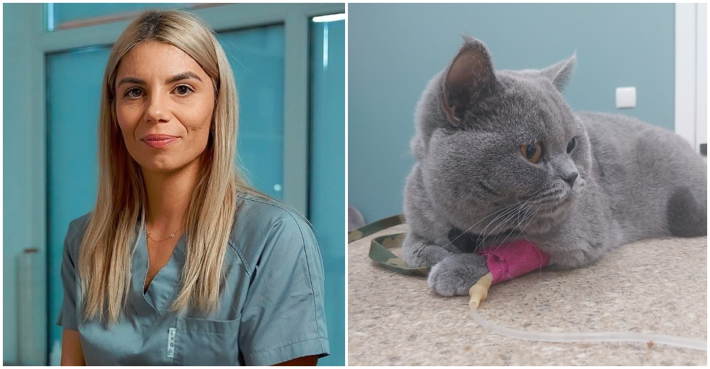 FOTO. O inimă mică și o recunoștință fără margini. O fetiță din Satu Mare îi mulțumește medicului care i-a salvat cea mai bună prietenă