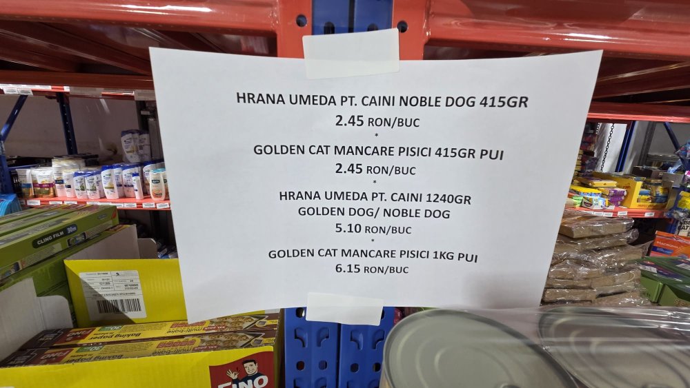 GORDIUS SATU MARE (18).jpeg