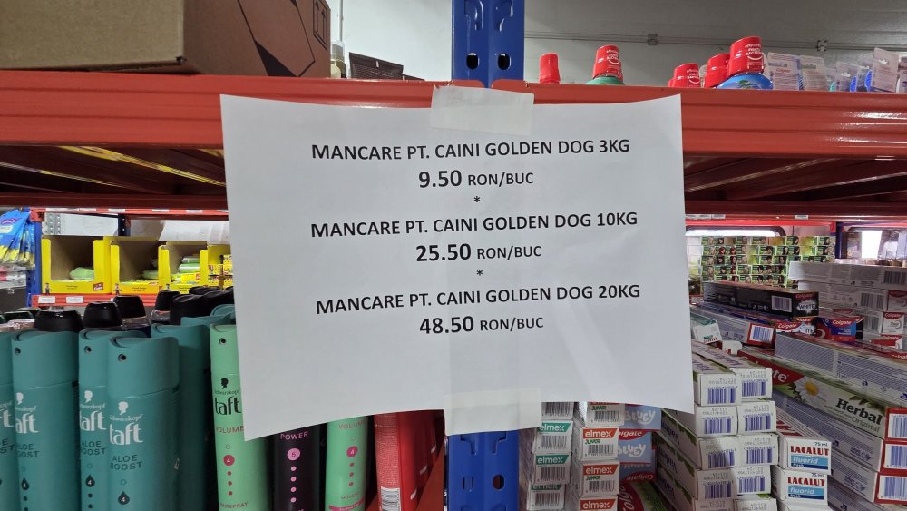 GORDIUS SATU MARE (19).jpeg