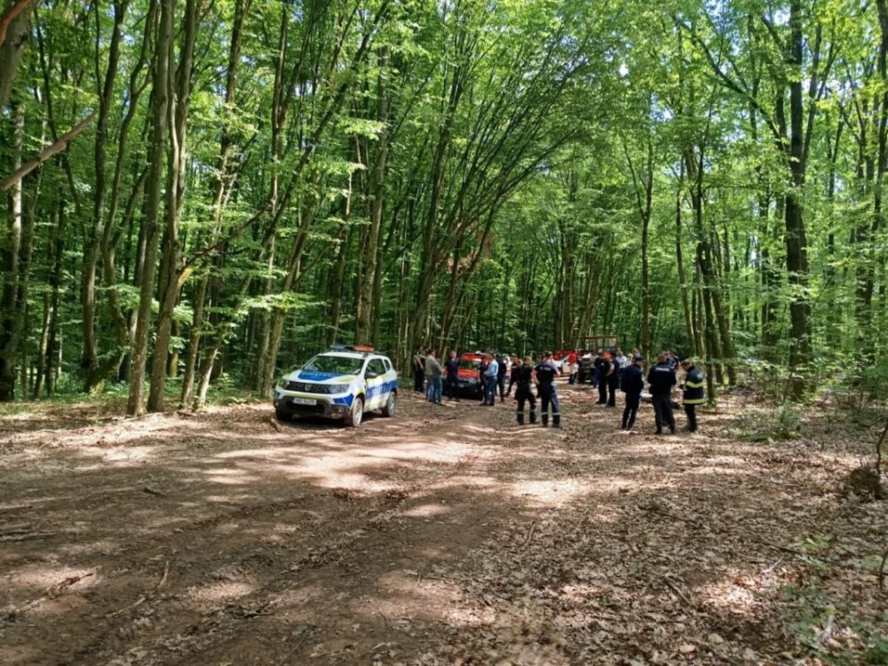Bărbat dispărut în Maramureș, găsit la granița cu județul Satu Mare. Bunicul plecase la căutat de ciuperci