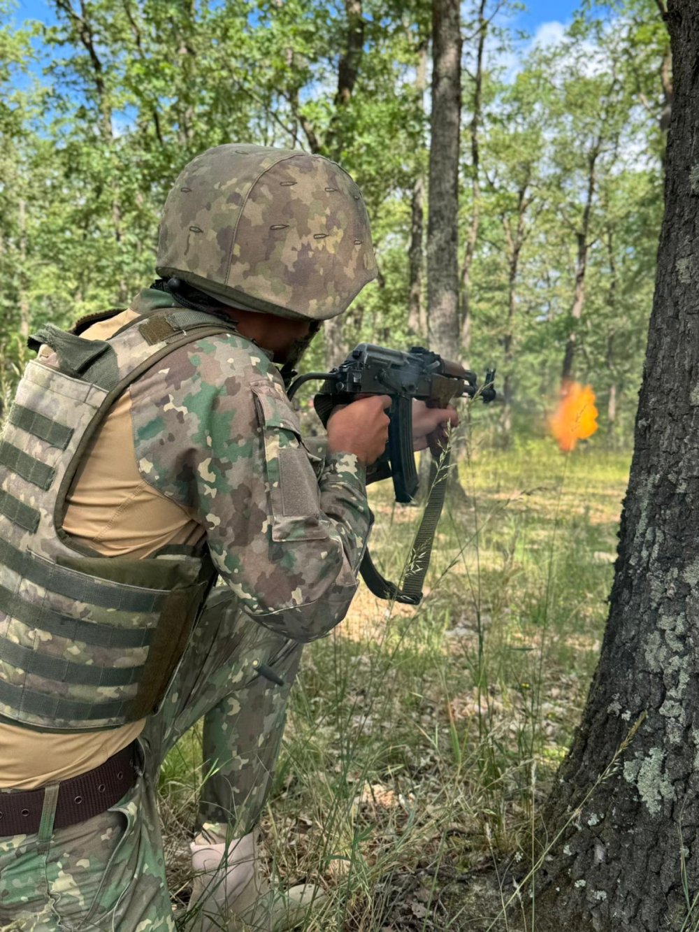 exercitiu exercitii militare satu mare (3).jpeg