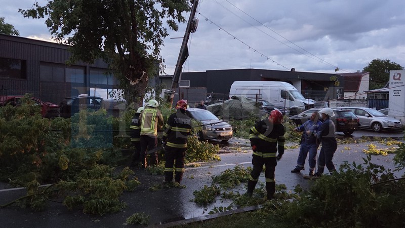 furtuna pagube satu mare.jpg