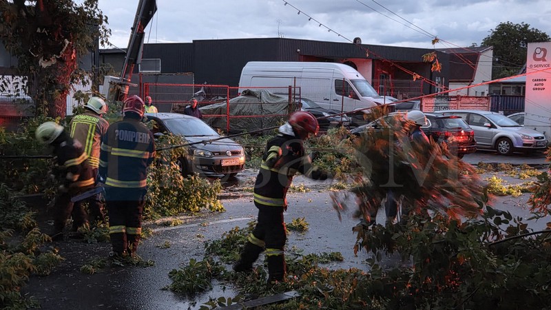 FOTO/VIDEO. Copac căzut peste un stâlp de electricitate, în municipiul Satu Mare. A fost avariată și o mașină