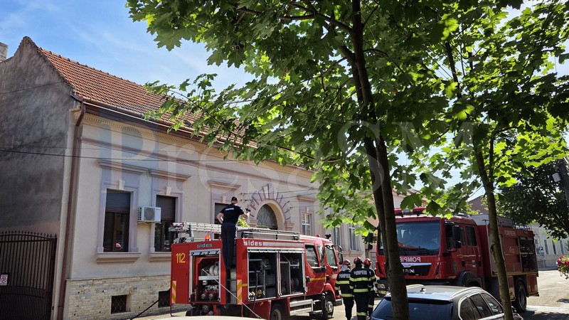 incendiu anexa satu mare pompieri5.jpg
