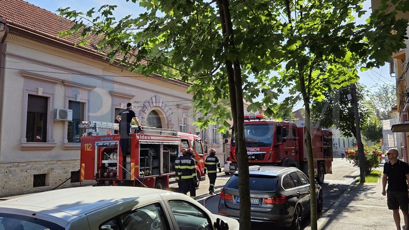 incendiu anexa satu mare pompieri6.jpg
