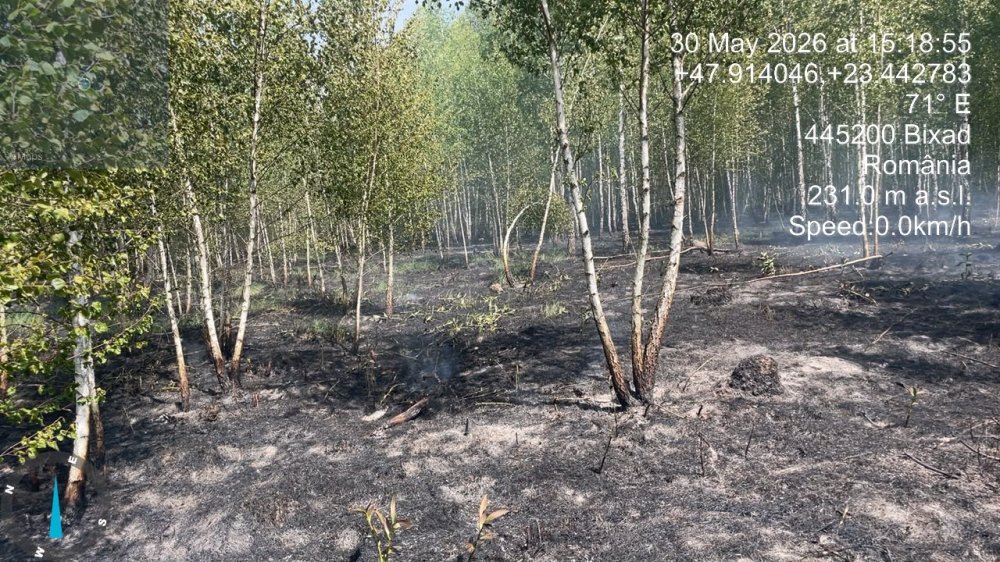 FOTO/VIDEO. Incendii în mai multe localități sătmărene în minivacanță. Ce spun pompierii sătmăreni