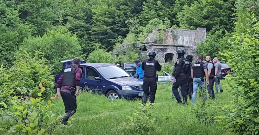 Sătmăreancă bătută cu parul după ce a filmat un bărbat care tăia lemne. Victima a ajuns cu brațul fracturat