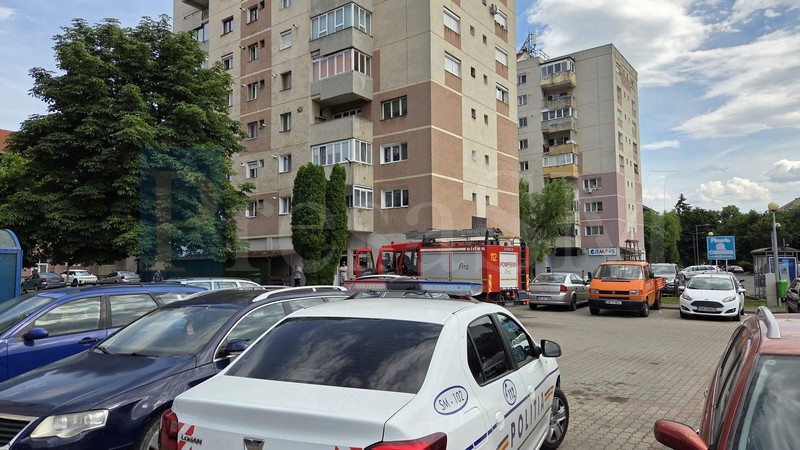 pompieri carpați 1.jpg