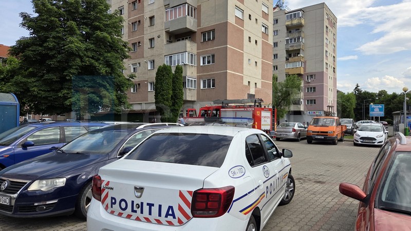pompieri carpați 3.jpg