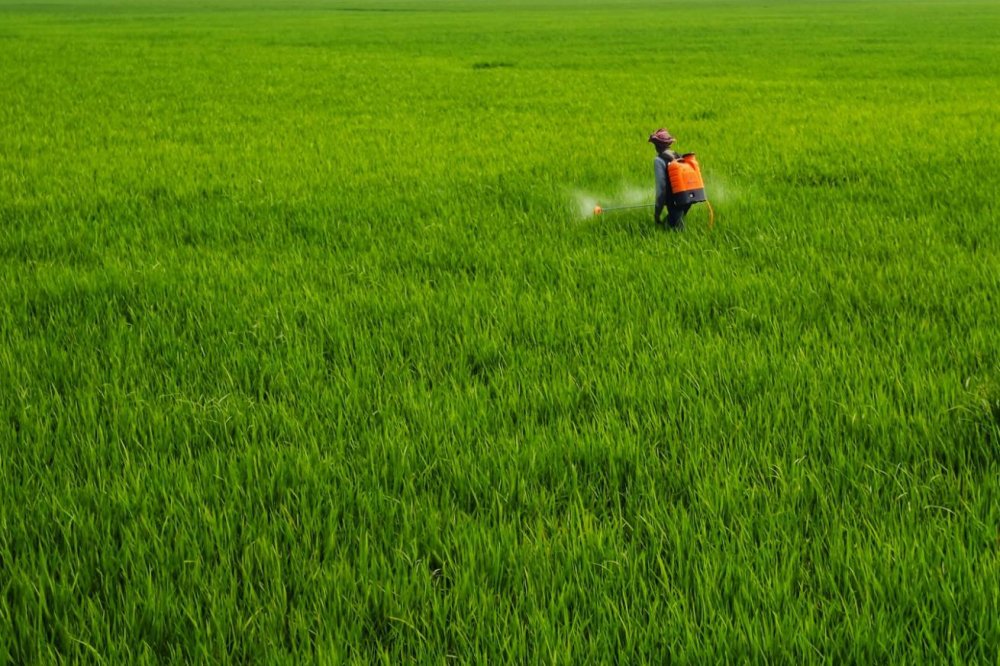 Ce substanțe se pot pulveriza cu o pompă electrică (fungicide, insecticide, îngrășăminte) și ce variante sunt recomandate pentru diferite utilizări în 2026?