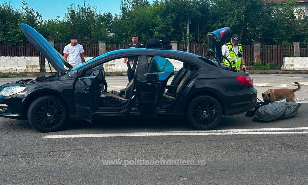Polițiștii și câini la frontieră cu Ungaria, în județul Satu Mare. Peste o mie de persoane verificate