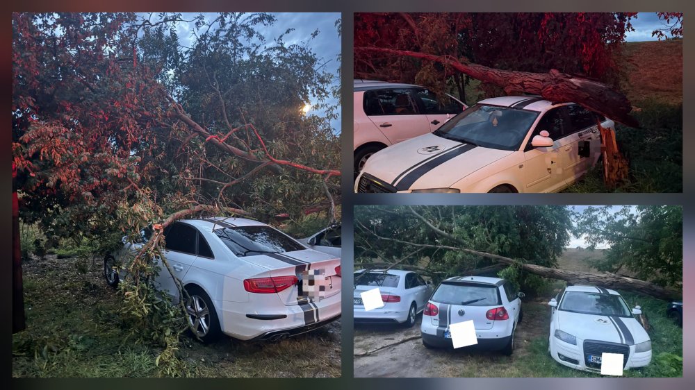 FOTO. Copac căzut peste mai multe mașini in municipiul Satu Mare