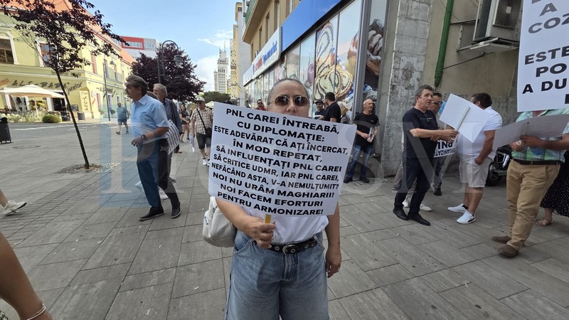 Protest PNL Satu Mare10.jpg