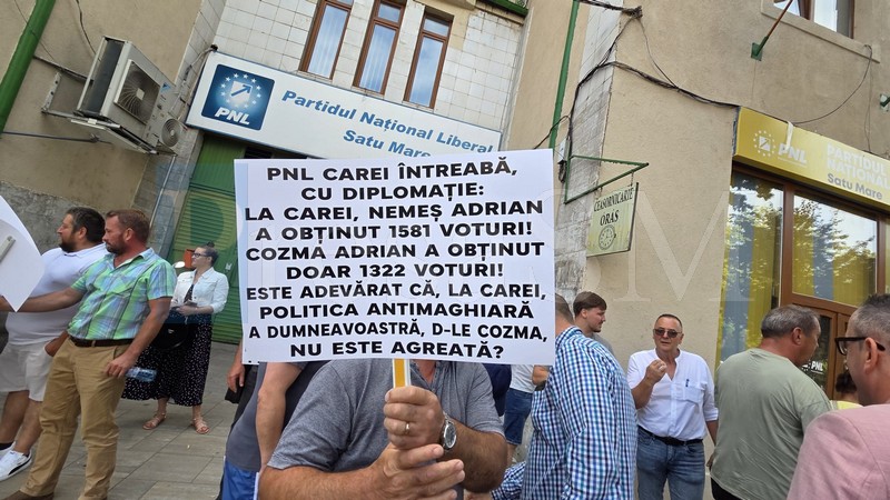 Protest PNL Satu Mare11.jpg