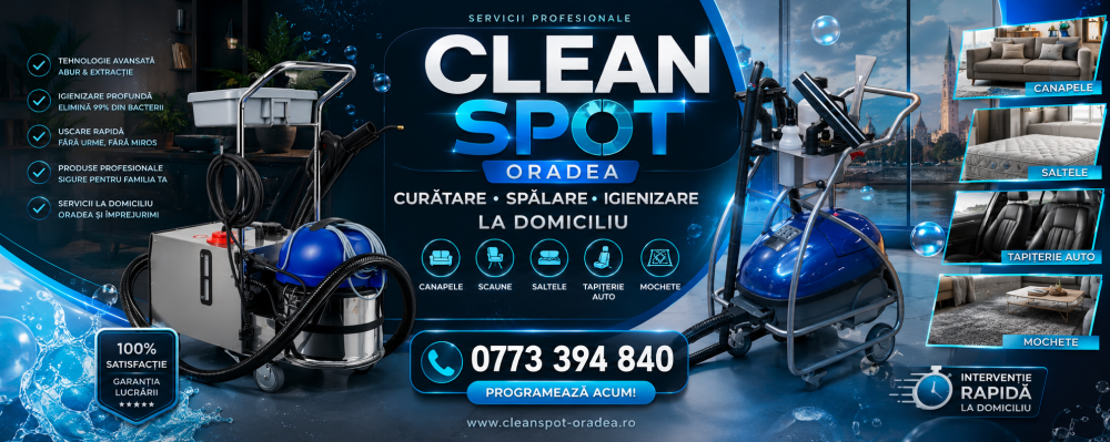 Curățarea profesională a tapițeriilor în Oradea: ce trebuie să verifici înainte de programare